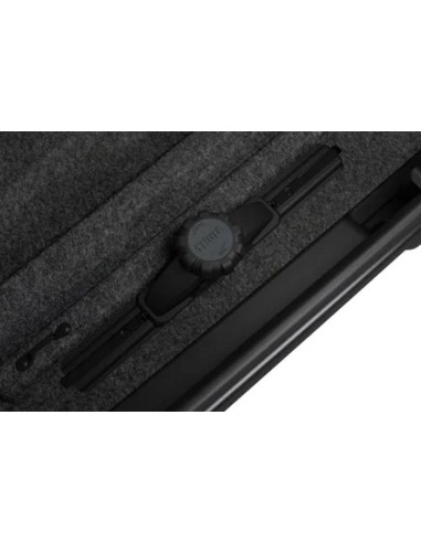 Thule Motion XT Alpine