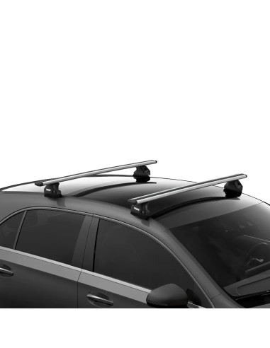 Thule katuseraamid kinnituspunktidega katustele