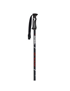 Gabel Speed black/red 2