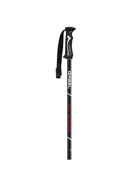 Gabel Speed black/red