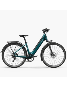 Electric bike FIIDO C11, Emerald Green