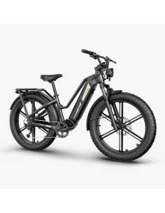 Electric bicycle FIIDO Titan, Grey 2