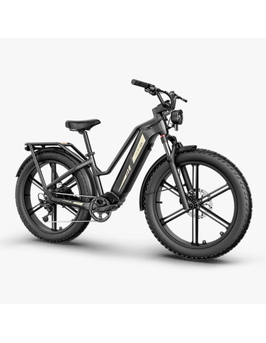 Elektrijalgratas FIIDO Titan, Grey