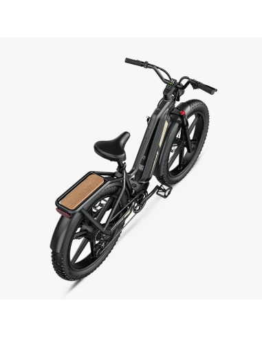 Electric bicycle FIIDO Titan, Grey