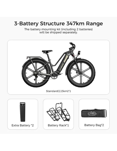 Electric bicycle FIIDO Titan, Grey