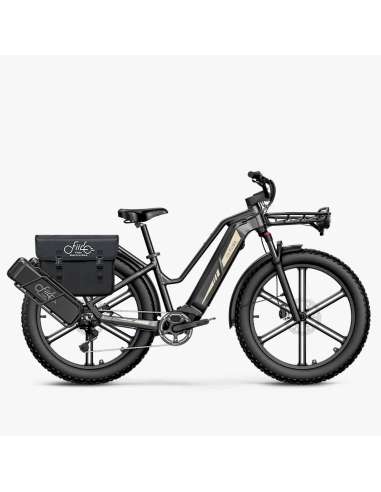 Electric bicycle FIIDO Titan, Grey