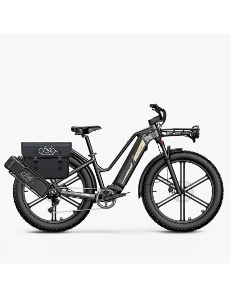 Electric bicycle FIIDO Titan, Grey