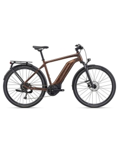 Electric bicycle GIANT Explore E+ 4 GTS, Hematite (L)
