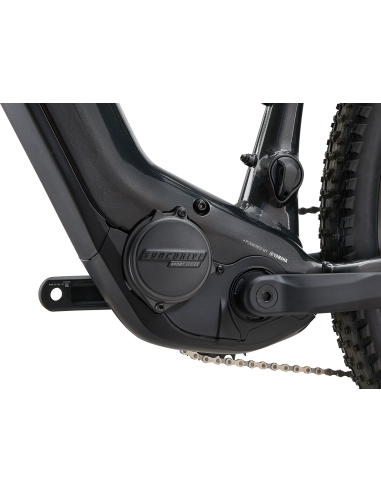 Elektrijalgratas GIANT Fathom E+ 2, 29" Gunmetal Black (L)