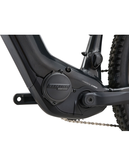 Elektrijalgratas GIANT Fathom E+ 2, 29" Gunmetal Black (L)