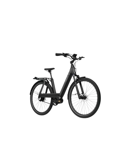 Electric bicycle TENWAYS AGO T, Black