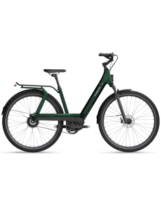 Electric bicycle TENWAYS AGO T, Jungle Green