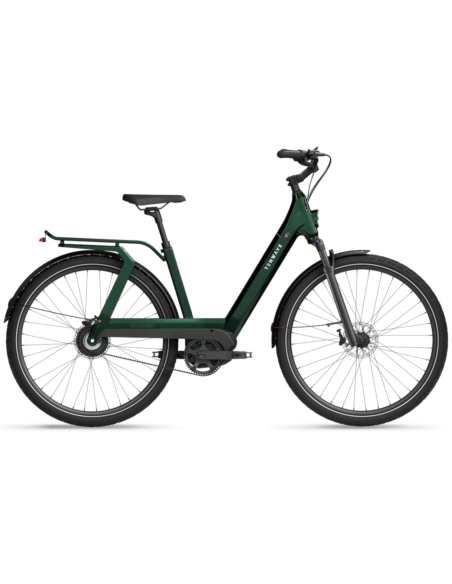 Electric bicycle TENWAYS AGO T, Jungle Green