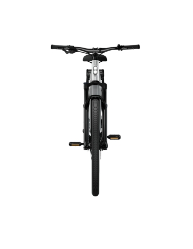 Sähköpyörä TENWAYS AGO X, 29" Gradient Silver (L)
