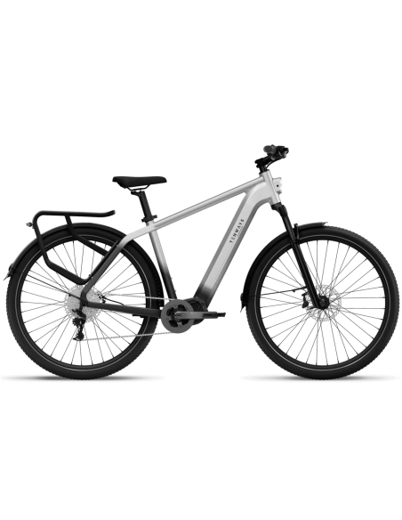 Electric bicycle TENWAYS AGO X, 29" Gradient Silver (XL)