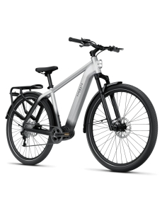 Sähköpyörä TENWAYS AGO X, 29" Gradient Silver (XL) 2