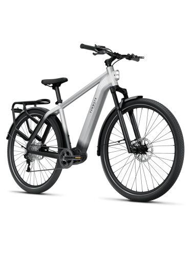 Sähköpyörä TENWAYS AGO X, 29" Gradient Silver (XL)
