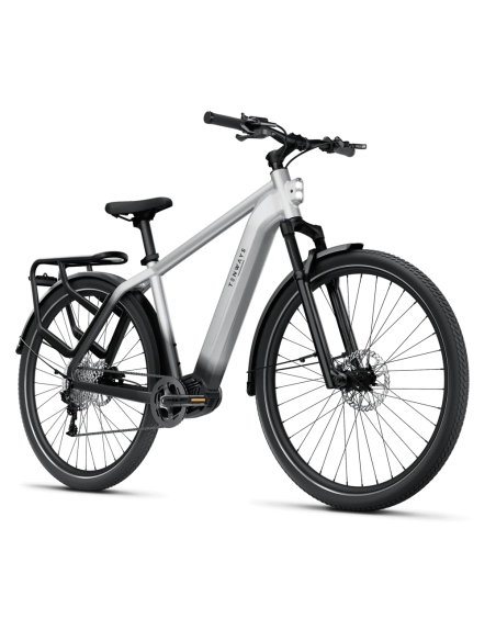 Электровелосипед TENWAYS AGO X, 29" Gradient Silver (XL)