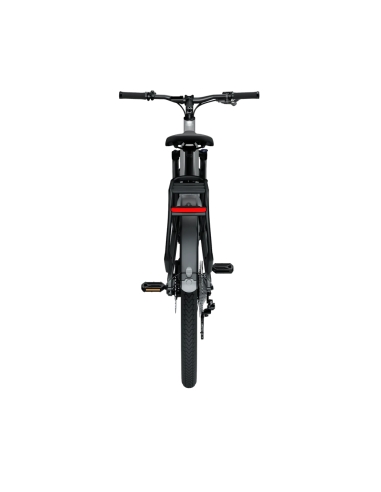 Electric bicycle TENWAYS AGO X, 29" Gradient Silver (XL)