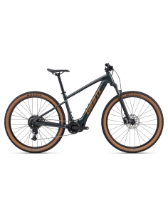 Electric bicycle GIANT Talon E+ (2026) 29" Asphalt Green (M)