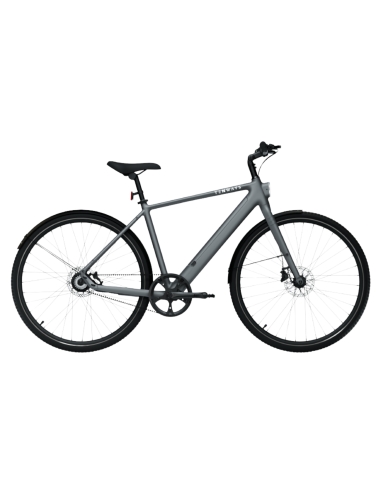 Electric bicycle TENWAYS CGO600 PRO (2025) Pebble Grey (M)