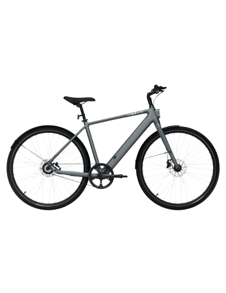 Электровелосипед TENWAYS CGO600 PRO (2025) Pebble Grey (M)