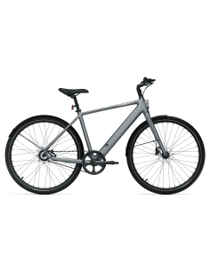 Электровелосипед TENWAYS CGO600 PRO, светло-серый (L)