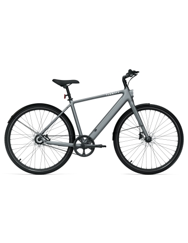 Электровелосипед TENWAYS CGO600 PRO, светло-серый (L)