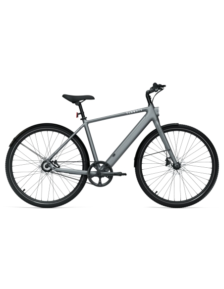 Electric bicycle TENWAYS CGO600 PRO, Light Grey (L)