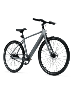 Sähköpyörä TENWAYS CGO600 PRO, vaaleanharmaa (L) 2