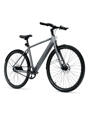 Electric bicycle TENWAYS CGO600 PRO, Light Grey (L)