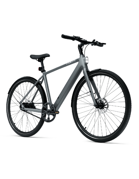 Electric bicycle TENWAYS CGO600 PRO, Light Grey (L)