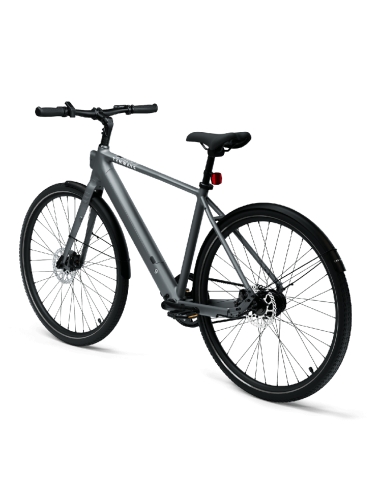 Electric bicycle TENWAYS CGO600 PRO, Light Grey (L)