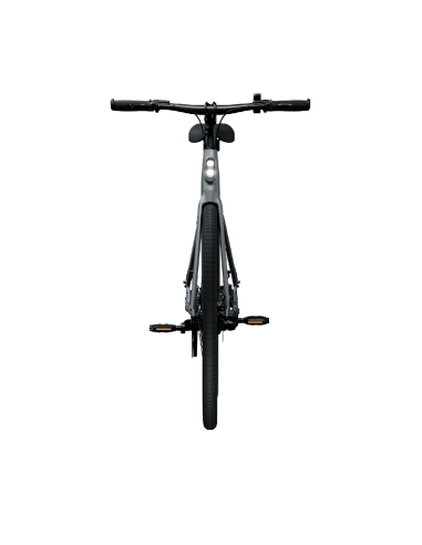 Elektrijalgratas TENWAYS CGO600 PRO, Light Grey (L)
