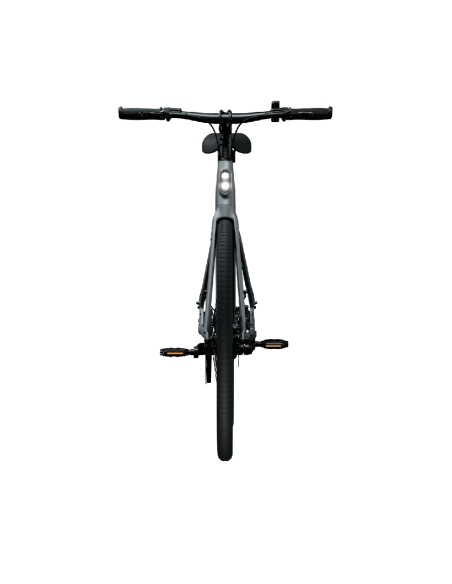 Electric bicycle TENWAYS CGO600 PRO, Light Grey (L)