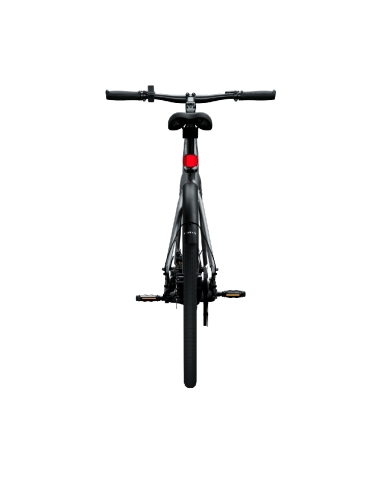 Electric bicycle TENWAYS CGO600 PRO, Light Grey (L)