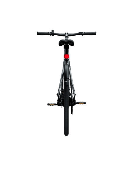 Electric bicycle TENWAYS CGO600 PRO, Light Grey (L)