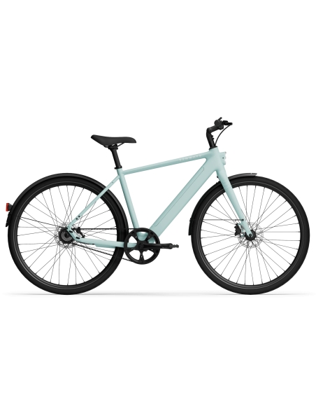 Electric bicycle TENWAYS CGO600 PRO, Mint Green (L)