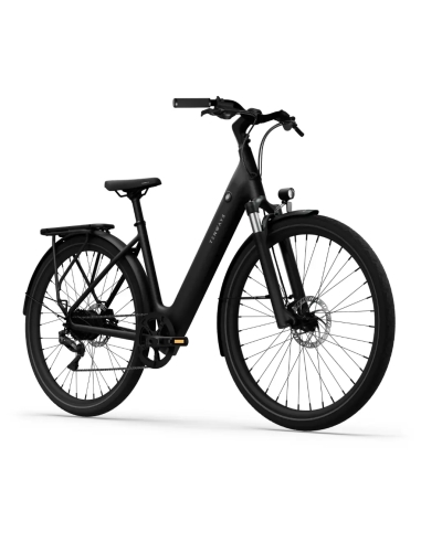 Elektrijalgratas TENWAYS CGO800 Plus, Midnight Black