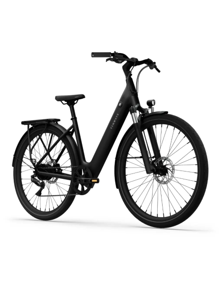Electric bicycle TENWAYS CGO800 Plus, Midnight Black