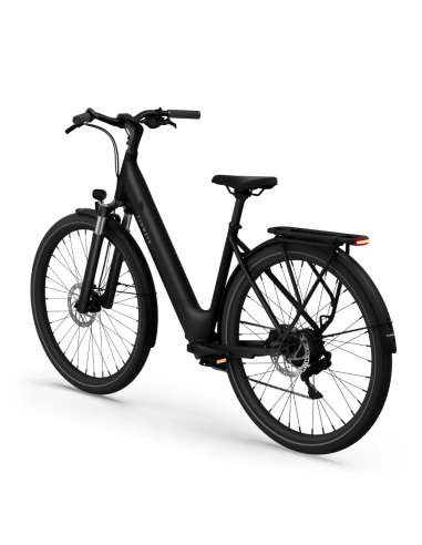 Elektrijalgratas TENWAYS CGO800 Plus, Midnight Black