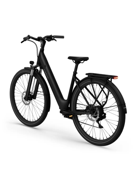 Elektrijalgratas TENWAYS CGO800 Plus, Midnight Black