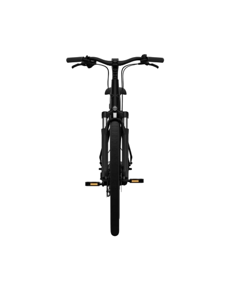 Electric bicycle TENWAYS CGO800 Plus, Midnight Black