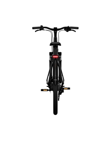 Elektrijalgratas TENWAYS CGO800 Plus, Midnight Black