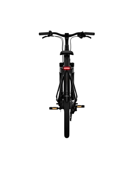 Electric bicycle TENWAYS CGO800 Plus, Midnight Black
