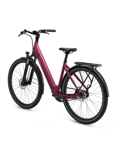 Electric bicycle TENWAYS CGO800S, Wild Berry