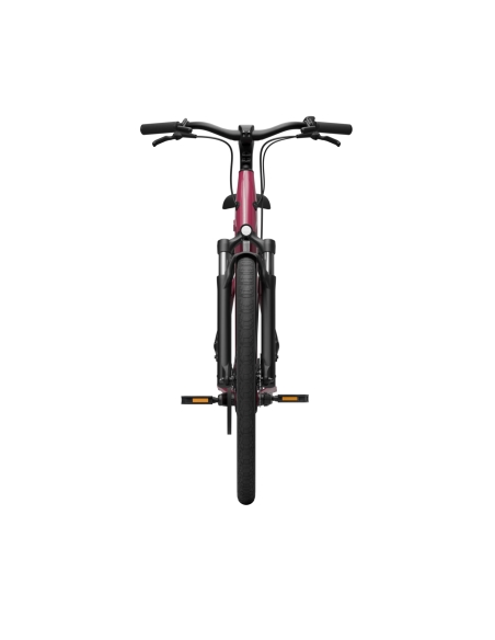 Electric bicycle TENWAYS CGO800S, Wild Berry