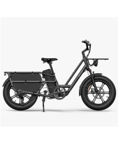 Sähköinen tavarapyörä FIIDO T2 Longtail Cargo, harmaa