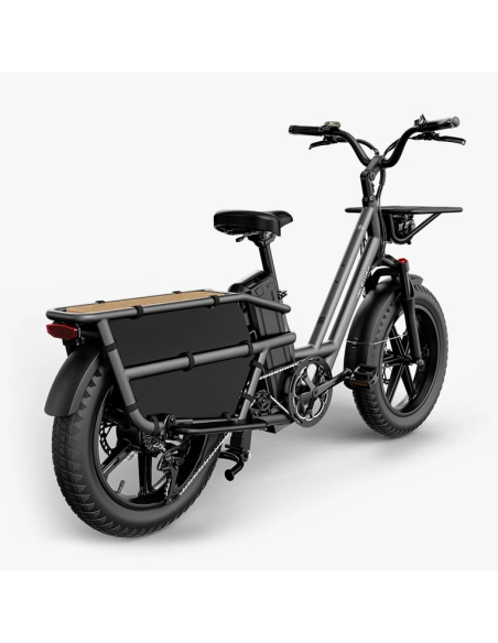 Elektriline kargoratas FIIDO T2 Longtail Cargo, Grey