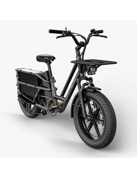 Electric cargo bike FIIDO T2 Longtail Cargo, Grey